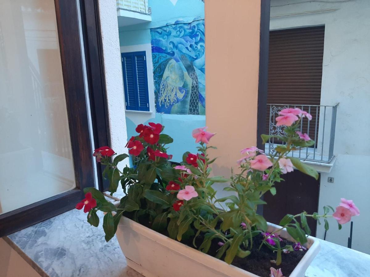 La Vie En Rose - Casa Vacanze Diamante Exterior foto